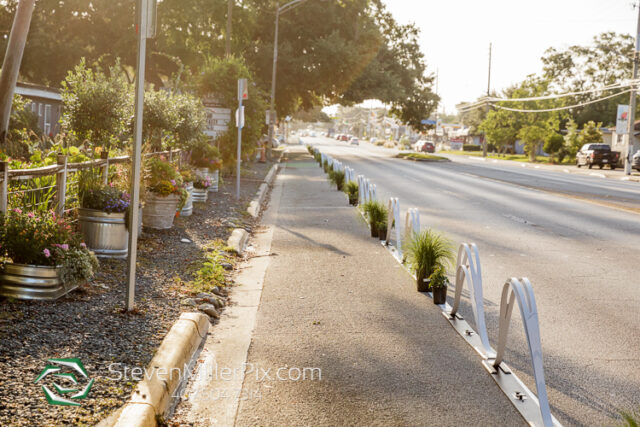 Audubon Park Bike Lane Activation