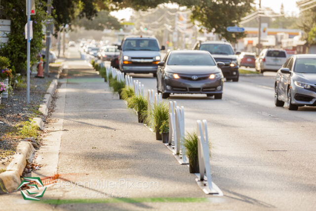 Audubon Park Bike Lane Activation