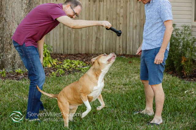 Orlando Senior Pet Life Photographer