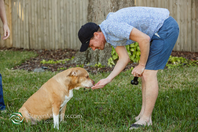 Orlando Senior Pet Life Photographer