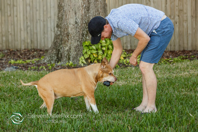 Orlando Senior Pet Life Photographer