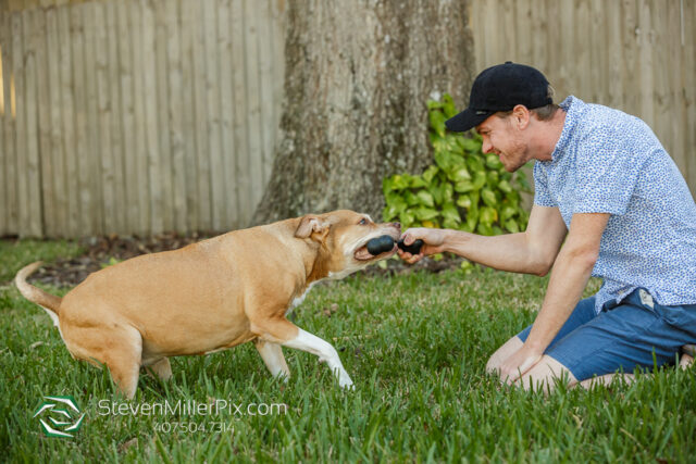 Orlando Senior Pet Life Photographer