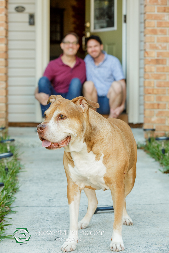 Orlando Senior Pet Life Photographer