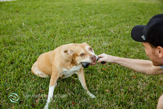 Orlando Senior Pet Life Photographer