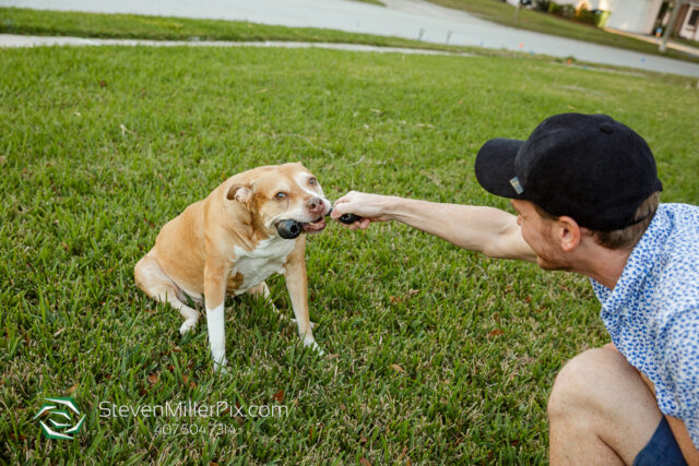 Orlando Senior Pet Life Photographer