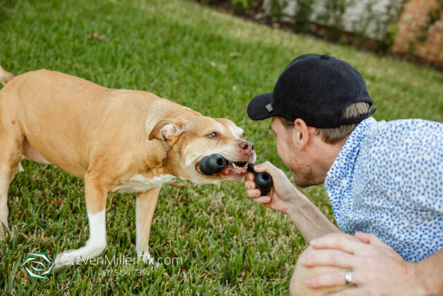 Orlando Senior Pet Life Photographer