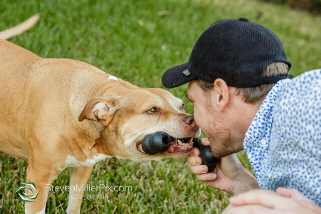 Orlando Senior Pet Life Photographer