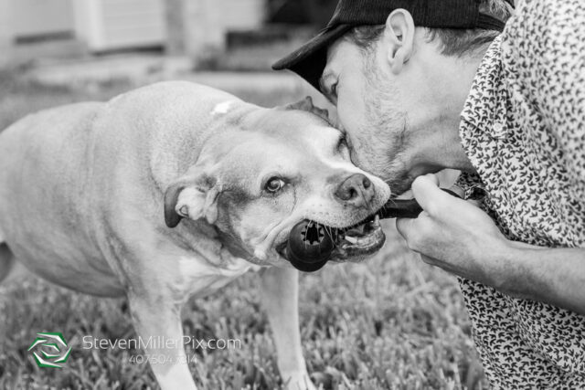 Orlando Senior Pet Life Photographer