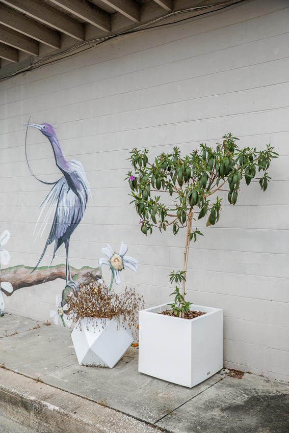 Audubon Park Orlando Zombietoberfest