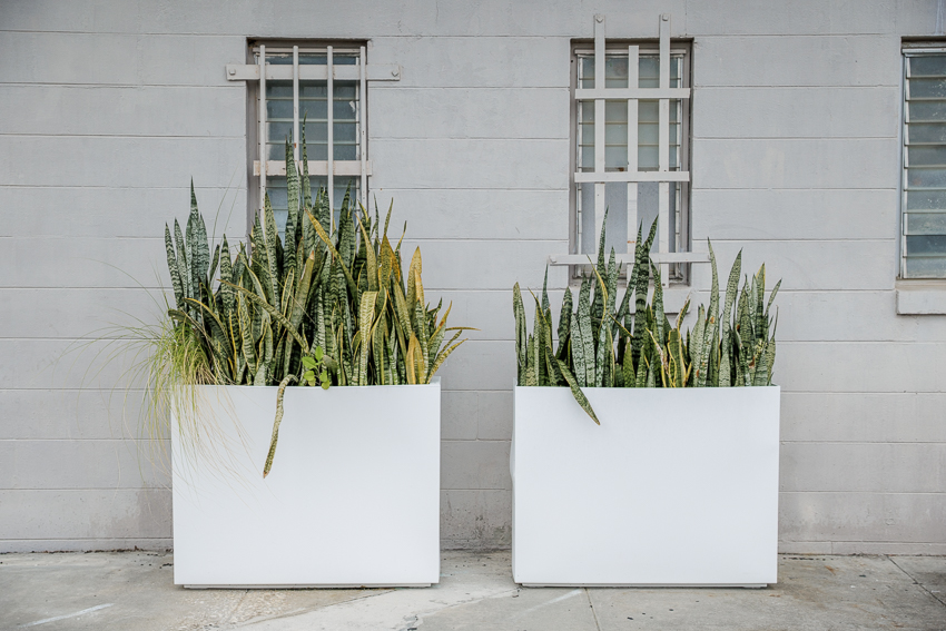Audubon Park Orlando Zombietoberfest