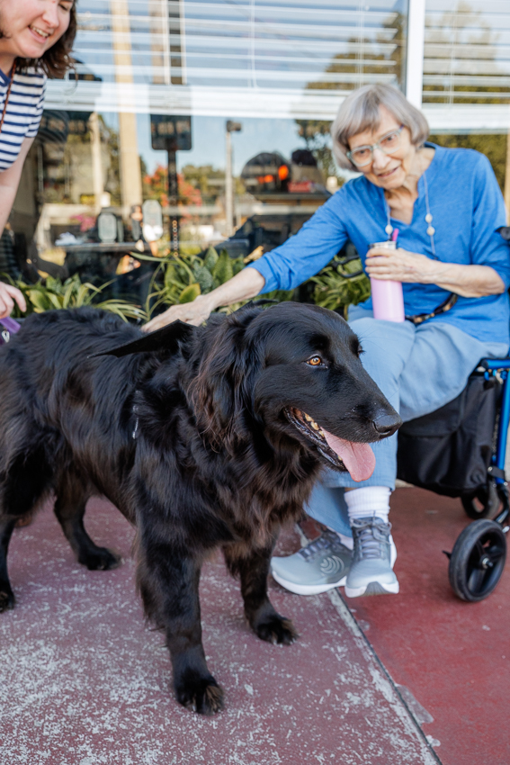 Audubon Park Orlando Zombietoberfest