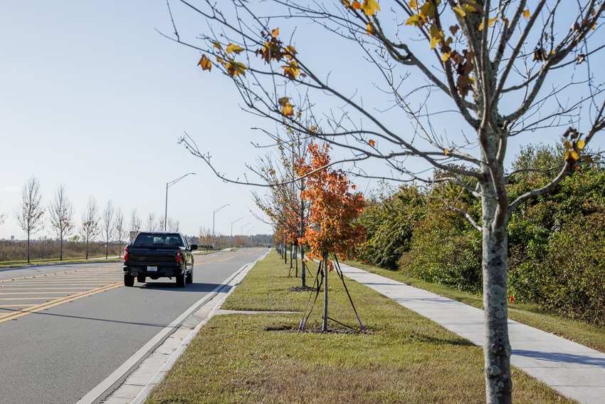 Lakeland Orlando Event Photographer