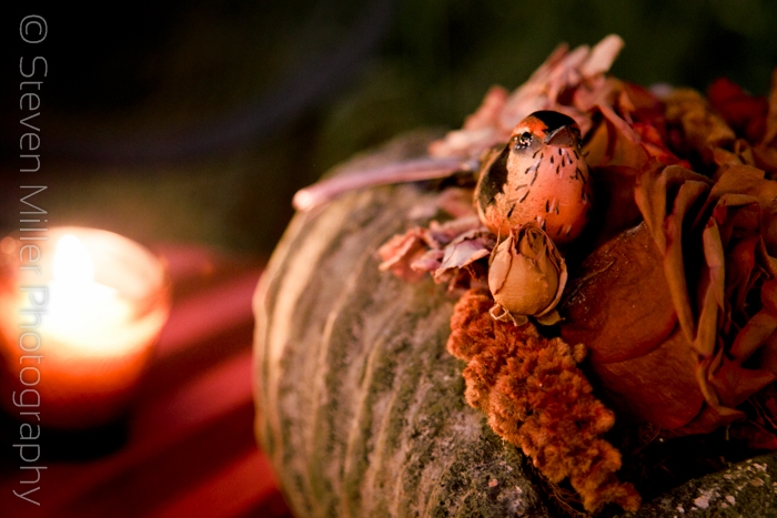 audubon_park_lady_ravens_cotillion_winter_park_orlando_events_0002