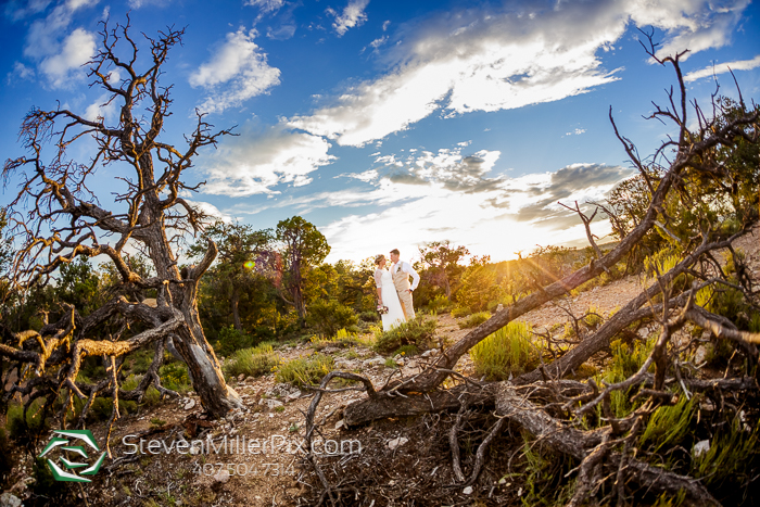 Grand Canyon National Wedding Photographers