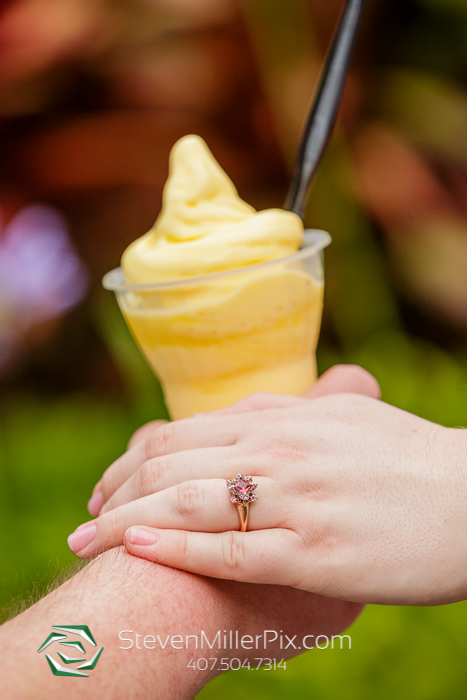 Walt Disney World Engagement Photos