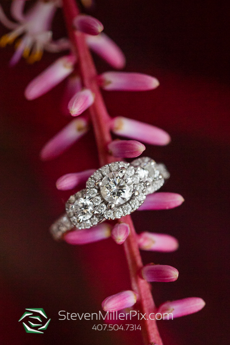 Florida Botanical Garden Engagement Photographers