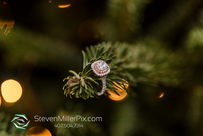 Orlando Christmas Surprise Proposal Photography Session