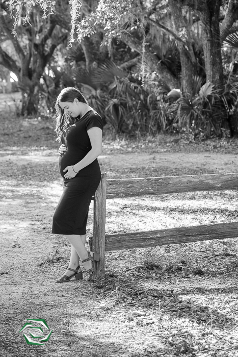 Maternity Photos Florida State Parks