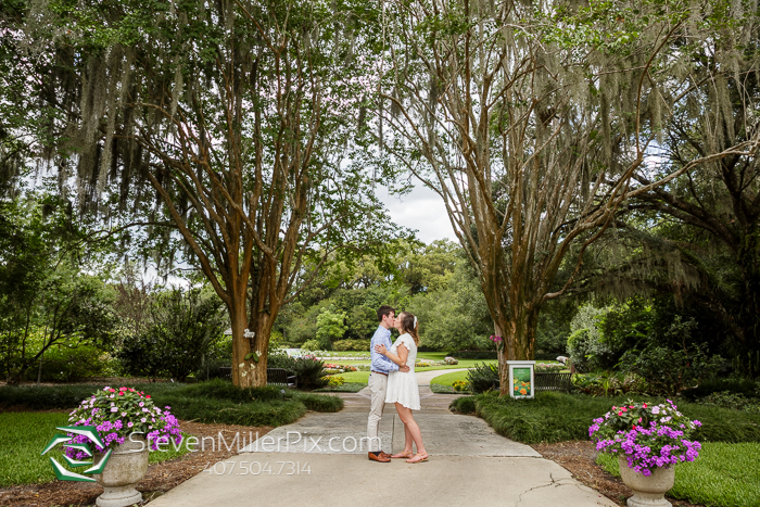 Proposal Photos at Leu Gardens Orlando