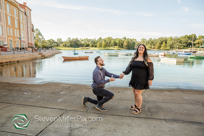 Universal Studios Surprise Proposals