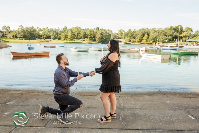 Universal Studios Surprise Proposals