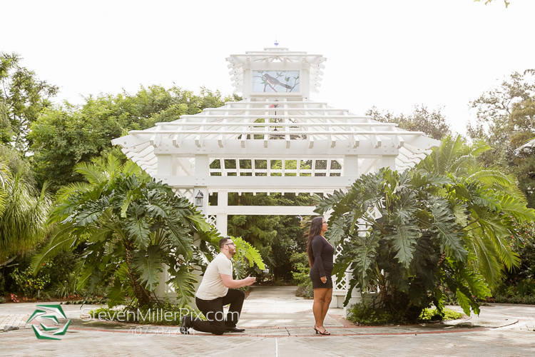 Leu Gardens Engagement