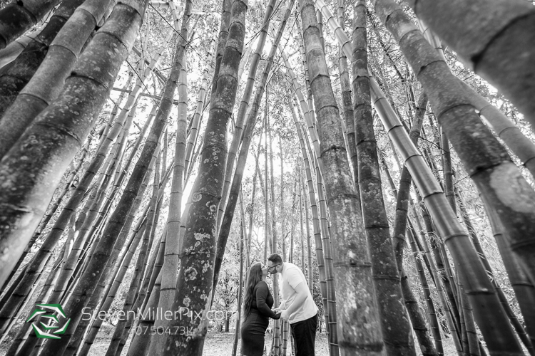 Leu Gardens Engagement