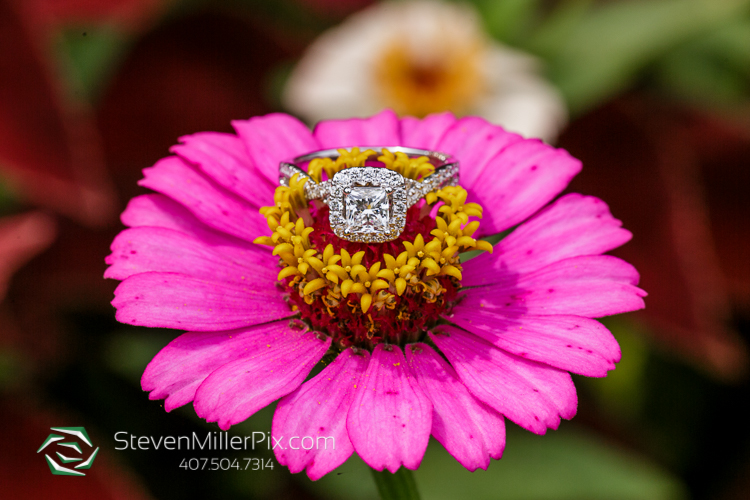 Leu Gardens Engagement