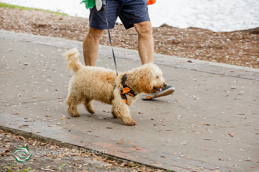 Lake Eola Orlando Family Photographer