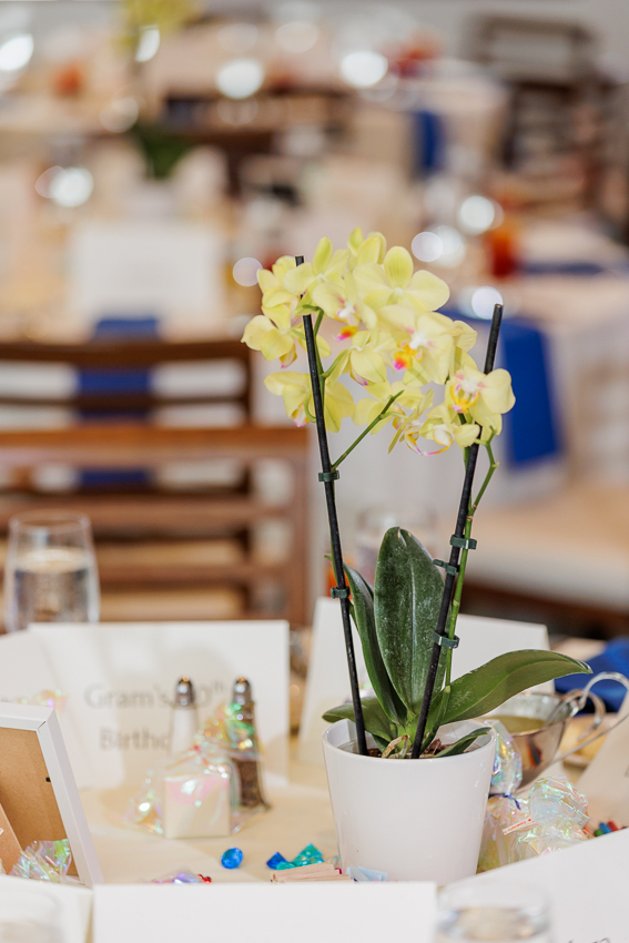 Margaritaville Birthday Event Photographer