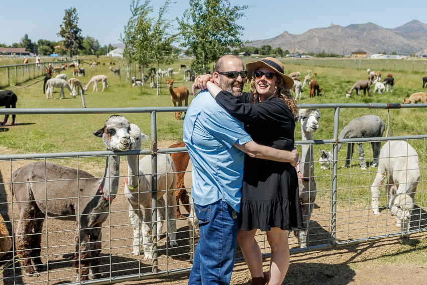 crescent moon ranch alpaca farm oregon photos