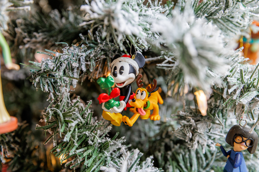 Christmas Puppy Portrait Session Photographer