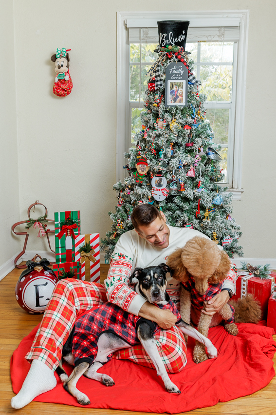 Christmas Puppy Portrait Session Photographer