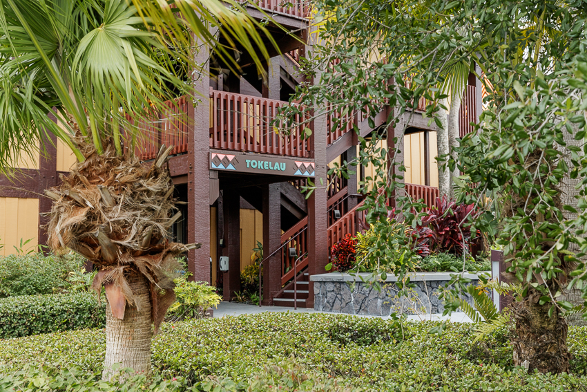 Disney's Polynesian Resort Proposal Surprise Photographer