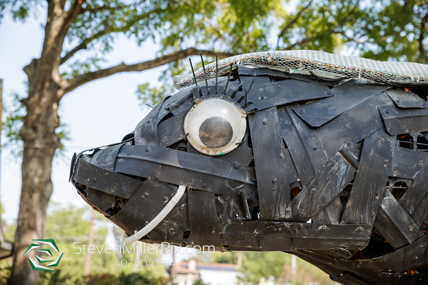 Orlando Backyard Family Portrait Photographer
